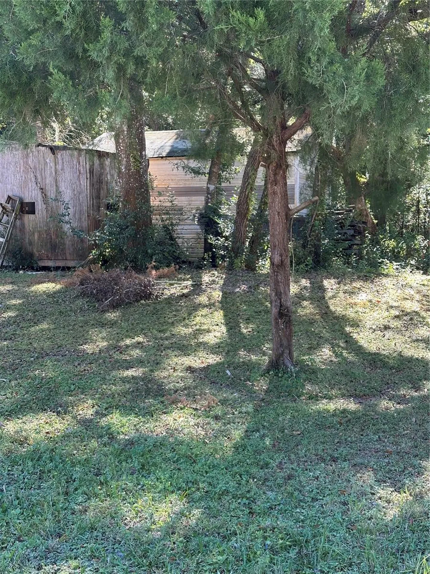 Ocasta Avenue New Port Richey FL 34654