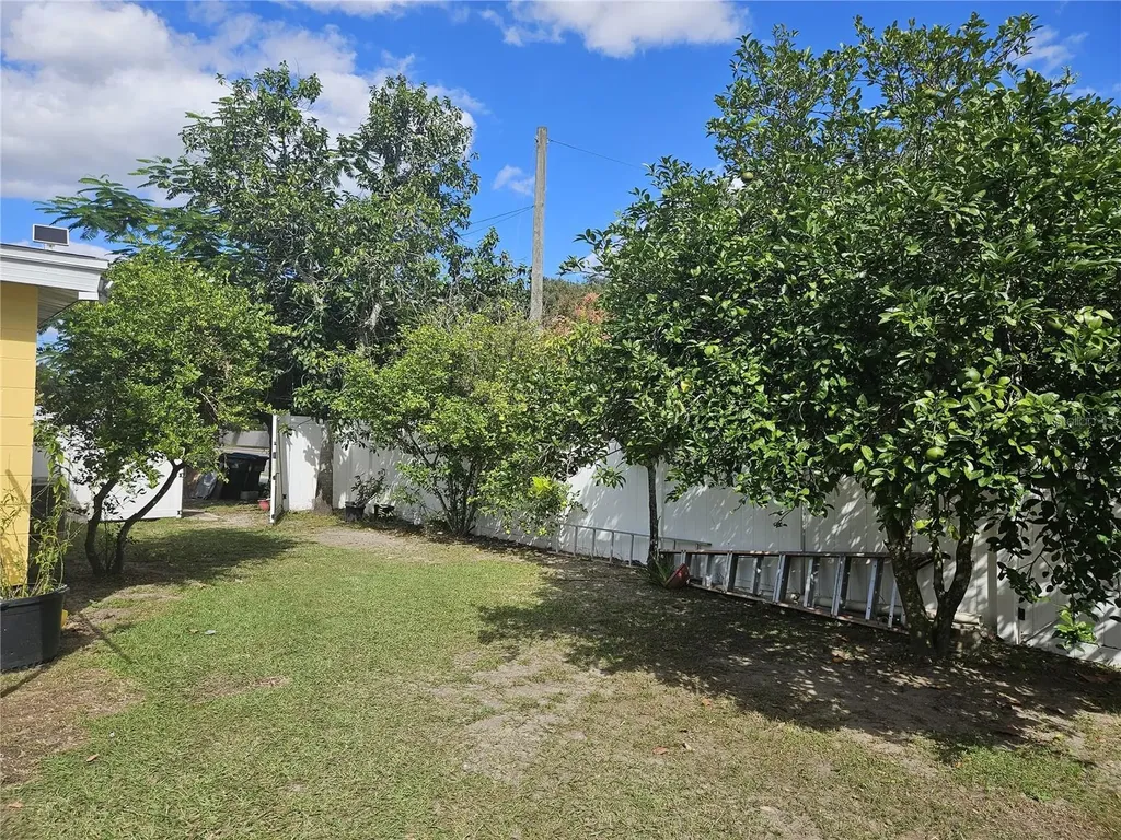 3902 Castell Drive Orlando FL 32810