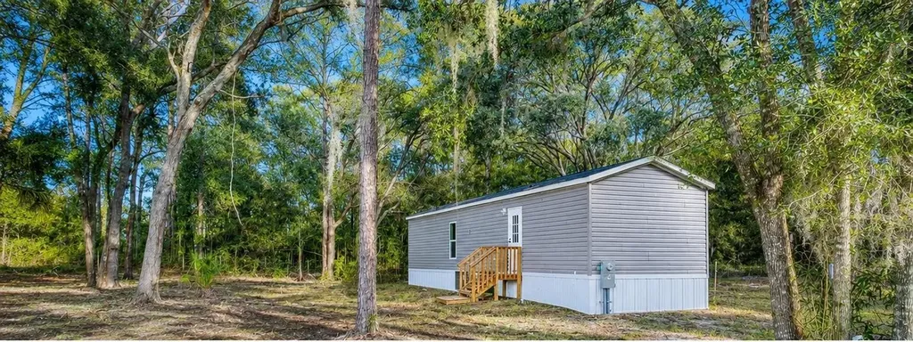 11651 SE 82nd Street Morriston FL 32668