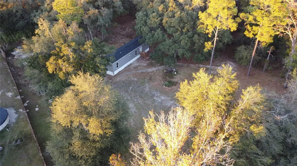 11651 SE 82nd Street Morriston FL 32668