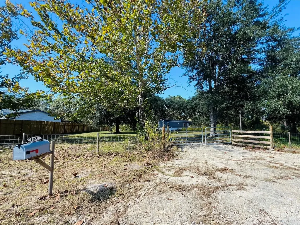 11651 SE 82nd Street Morriston FL 32668