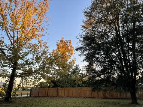 11651 SE 82nd Street Morriston FL 32668