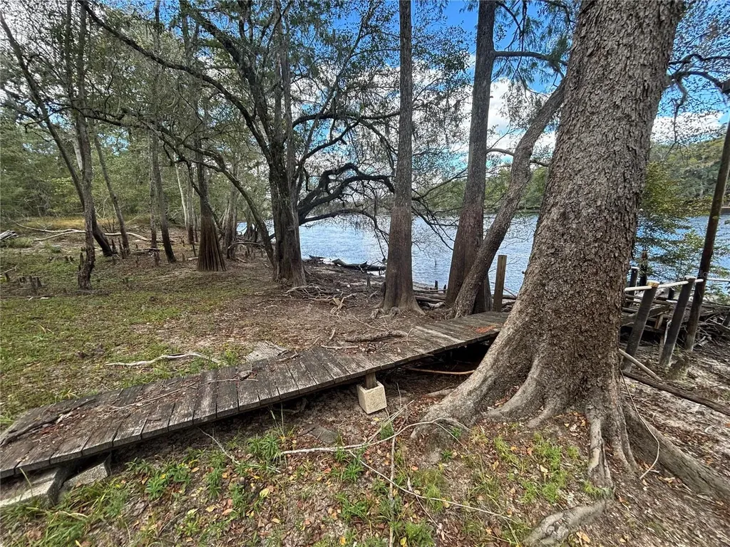 1347 NE 519th Avenue Old Town FL 32680
