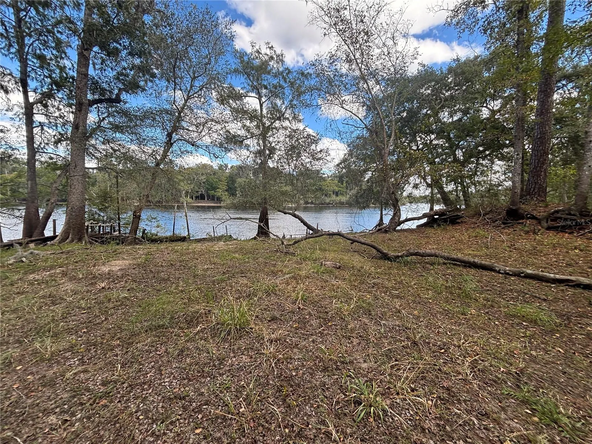 1347 NE 519th Avenue Old Town FL 32680