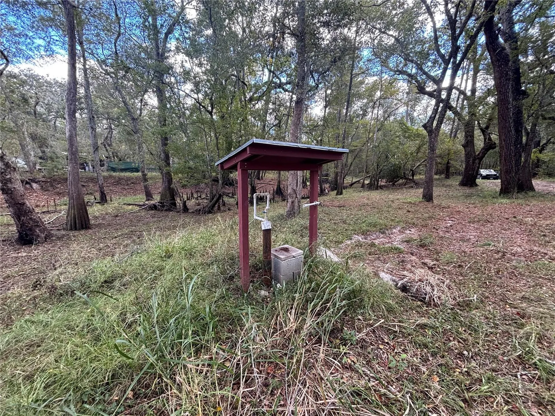 1347 NE 519th Avenue Old Town FL 32680