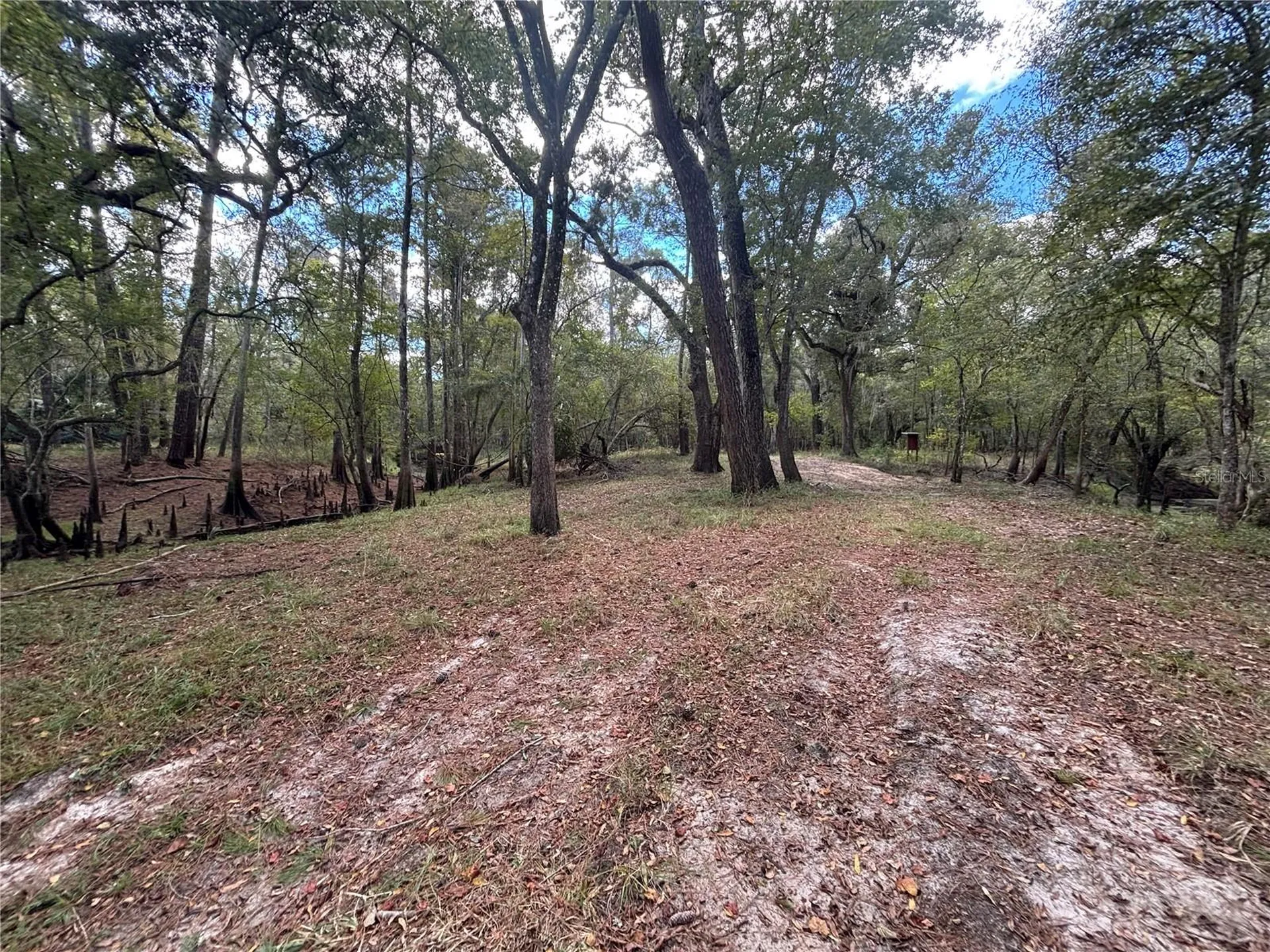 1347 NE 519th Avenue Old Town FL 32680