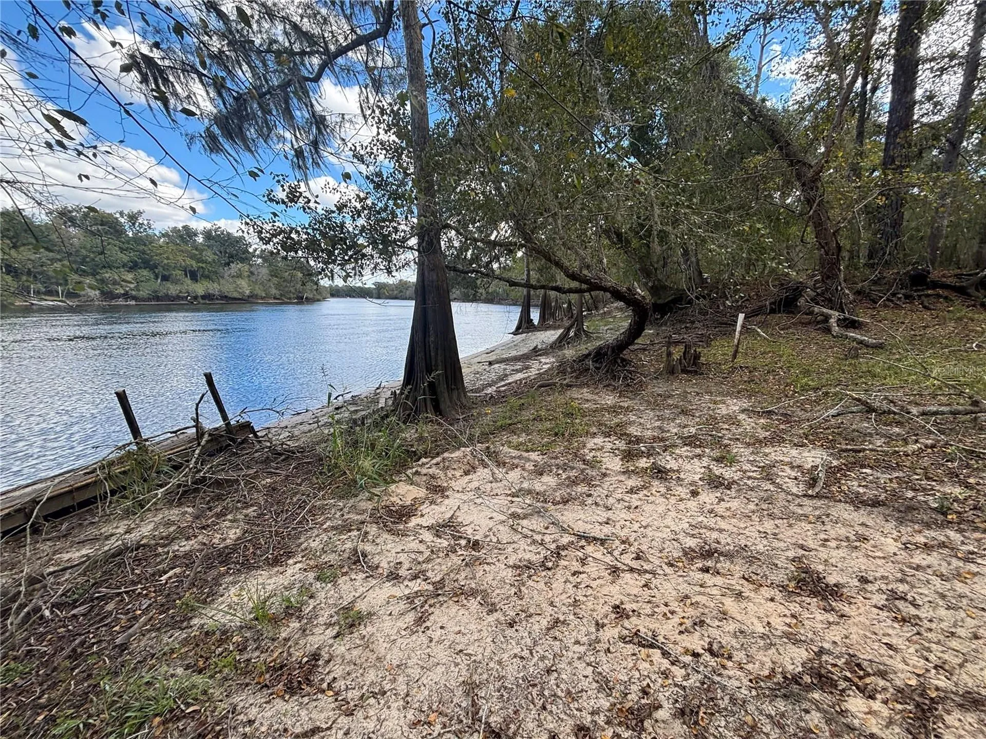 1347 NE 519th Avenue Old Town FL 32680