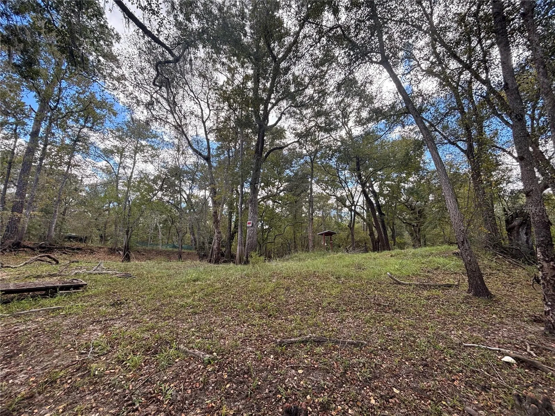 1347 NE 519th Avenue Old Town FL 32680