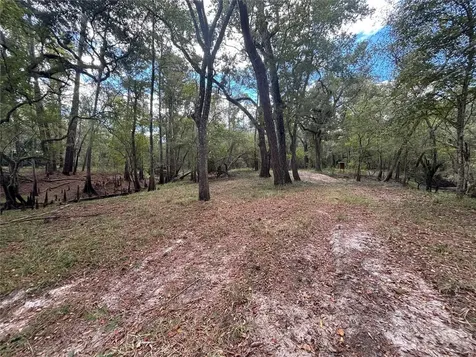 1347 NE 519th Avenue Old Town FL 32680