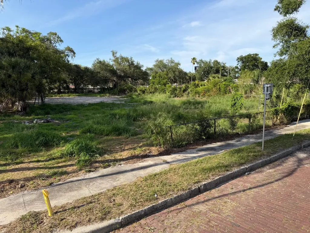 414 - 418 E Emily Street Tampa FL 33603