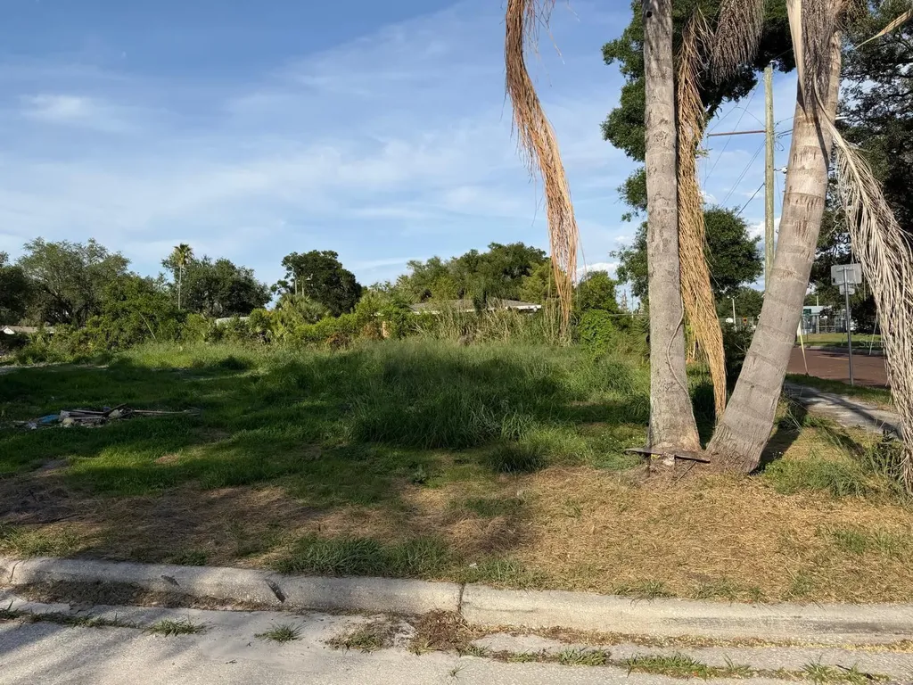 414 - 418 E Emily Street Tampa FL 33603