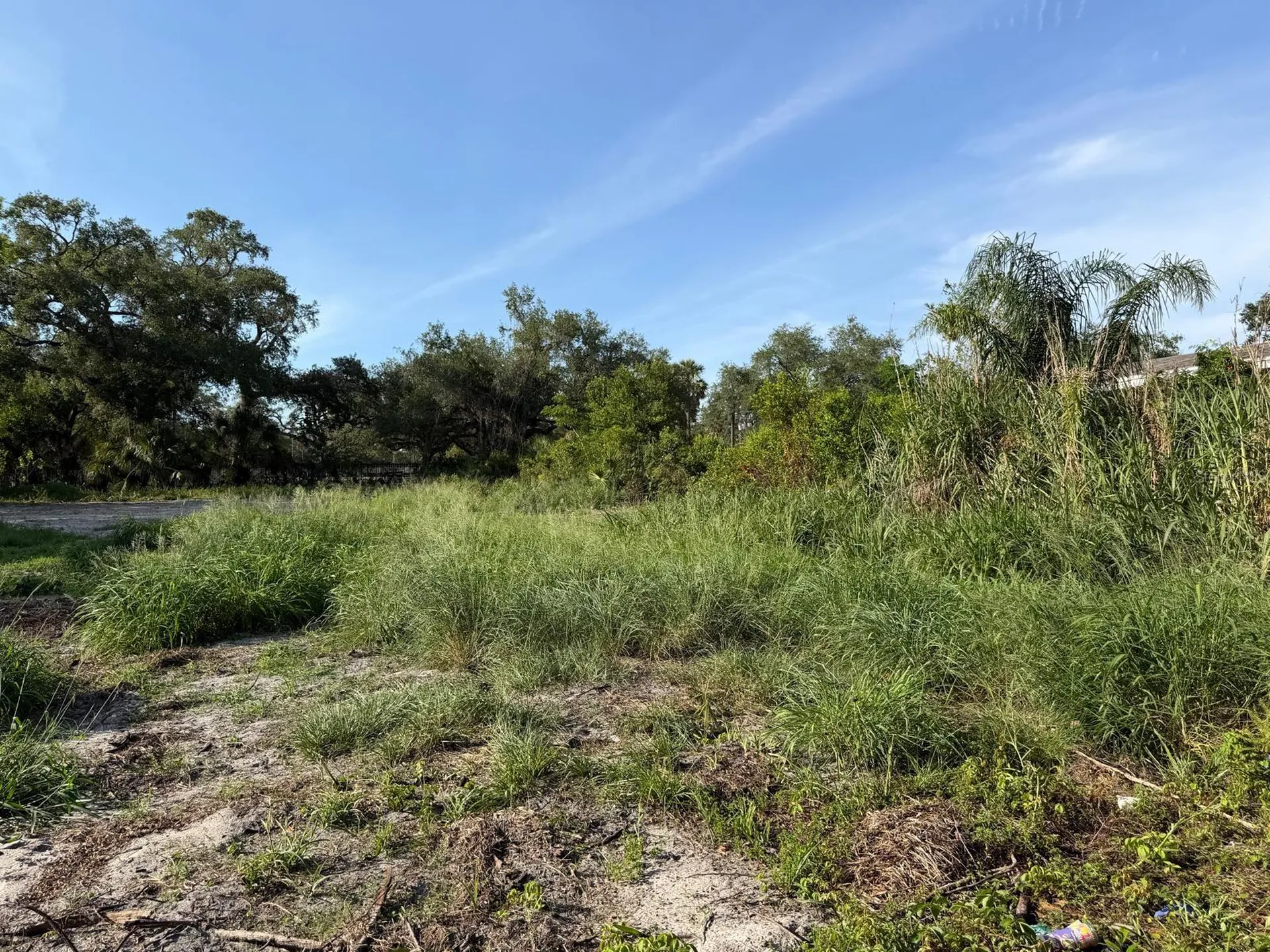 414 E Emily Street Tampa FL 33603