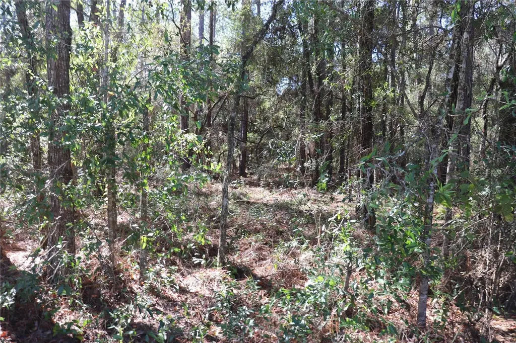 00 SW 39 Street Dunnellon FL 34432