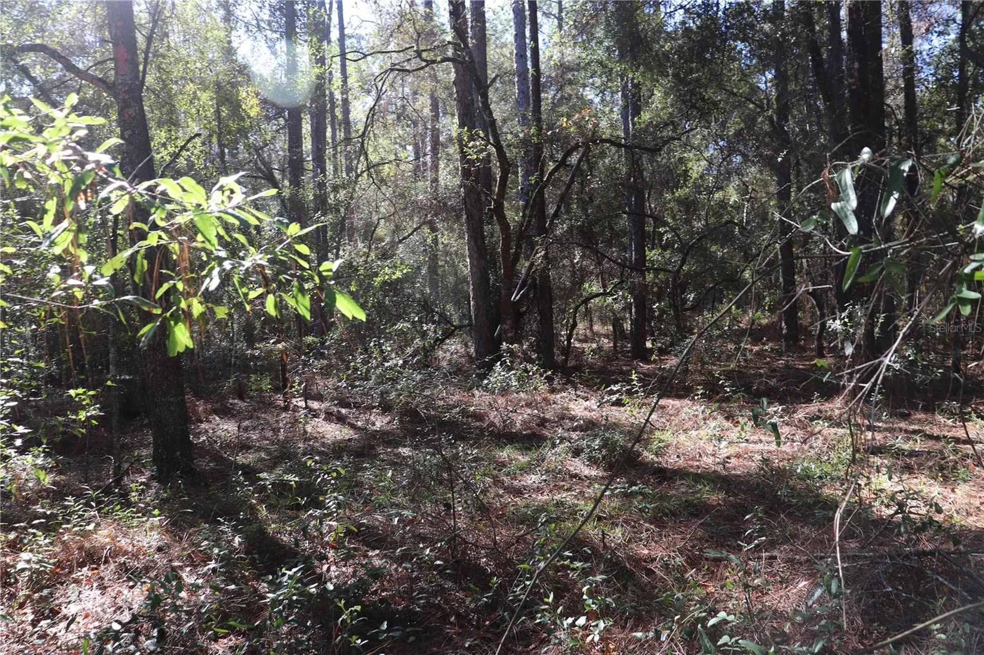 00 SW 39 Street Dunnellon FL 34432