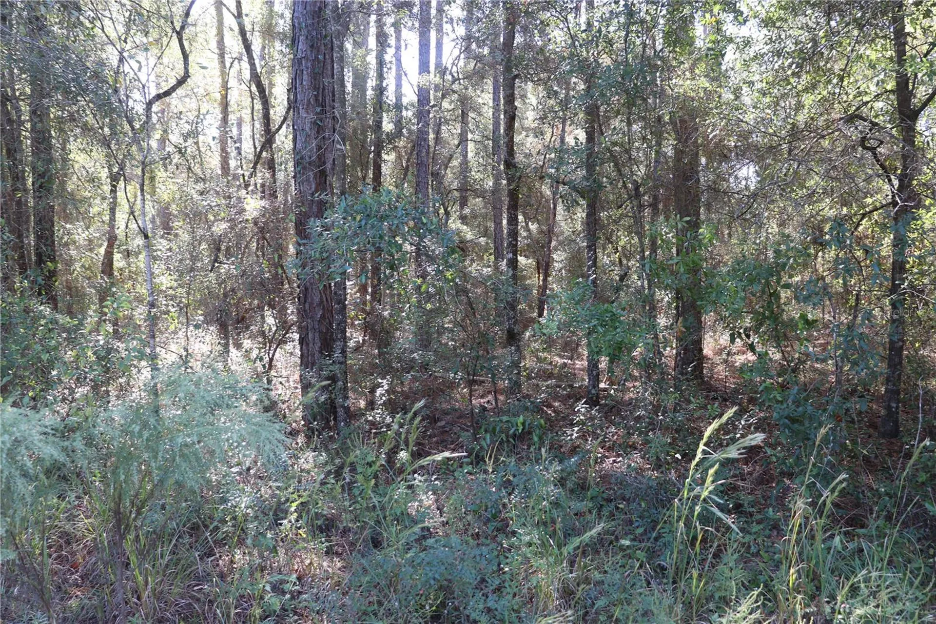 00 SW 39 Street Dunnellon FL 34432