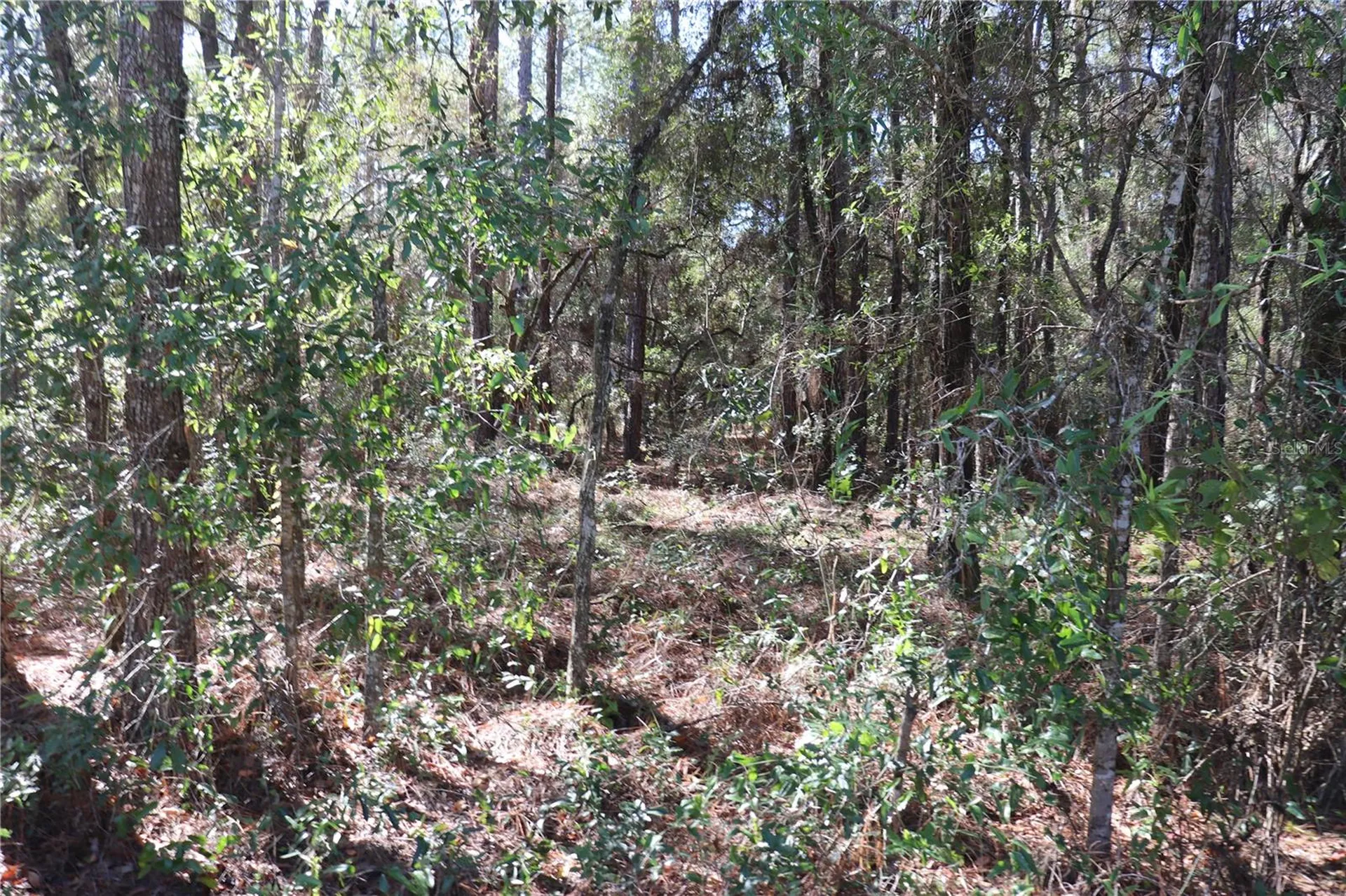 00 SW 39 Street Dunnellon FL 34432