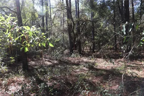 00 SW 39 Street Dunnellon FL 34432
