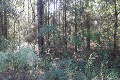 00 SW 39 Street Dunnellon FL 34432