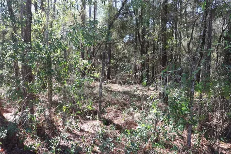 00 SW 39 Street Dunnellon FL 34432