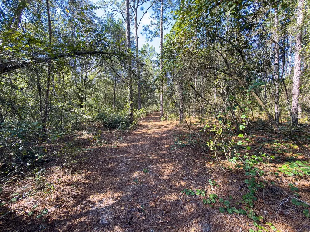 34095 Hyatt Road Dade City FL 33523