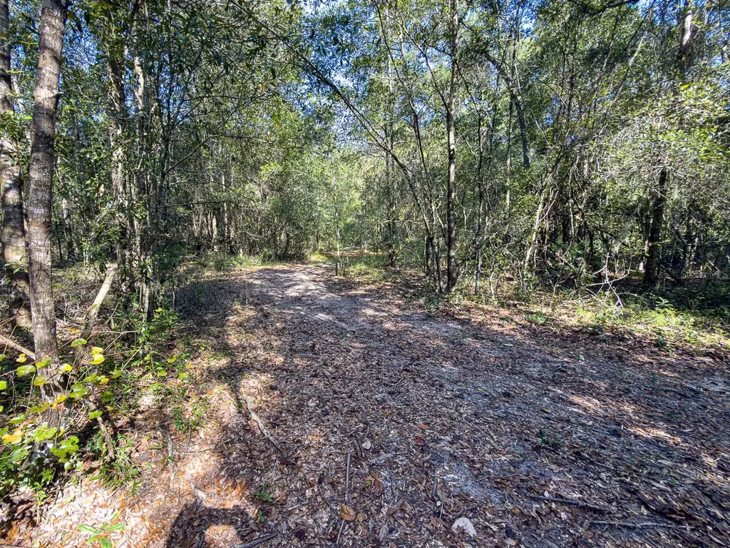 34095 Hyatt Road Dade City FL 33523