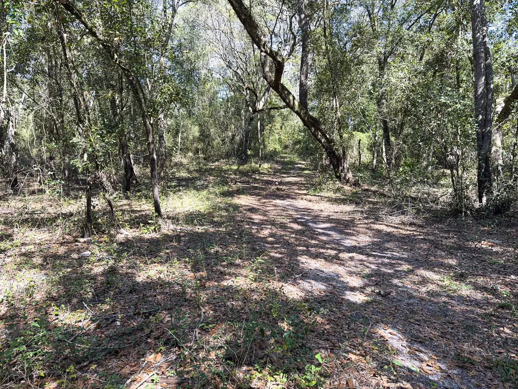 34095 Hyatt Road Dade City FL 33523