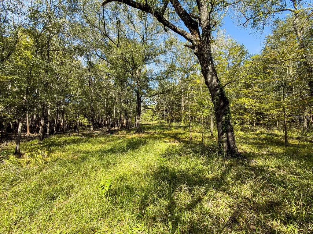 34095 Hyatt Road Dade City FL 33523