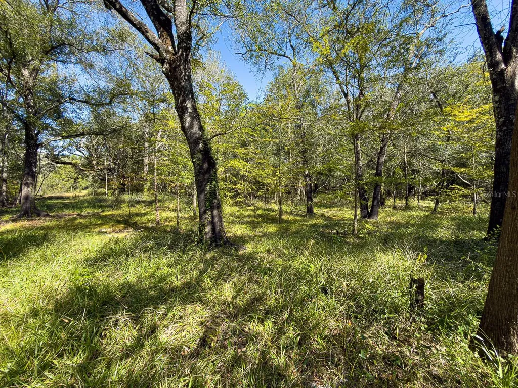 34095 Hyatt Road Dade City FL 33523