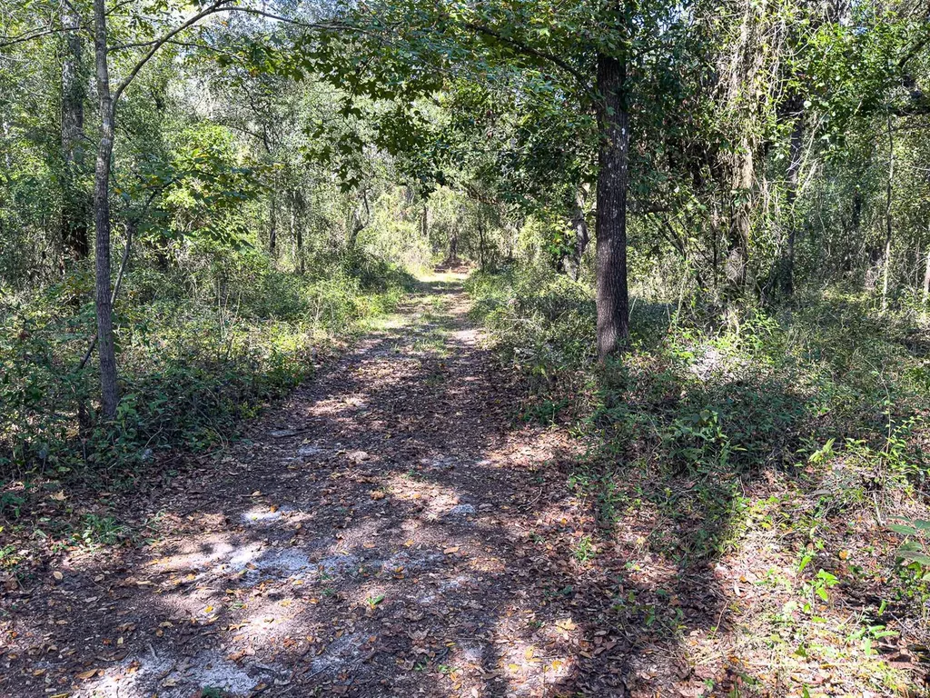 34095 Hyatt Road Dade City FL 33523