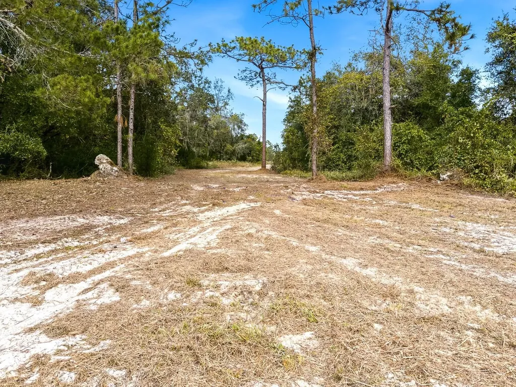34095 Hyatt Road Dade City FL 33523