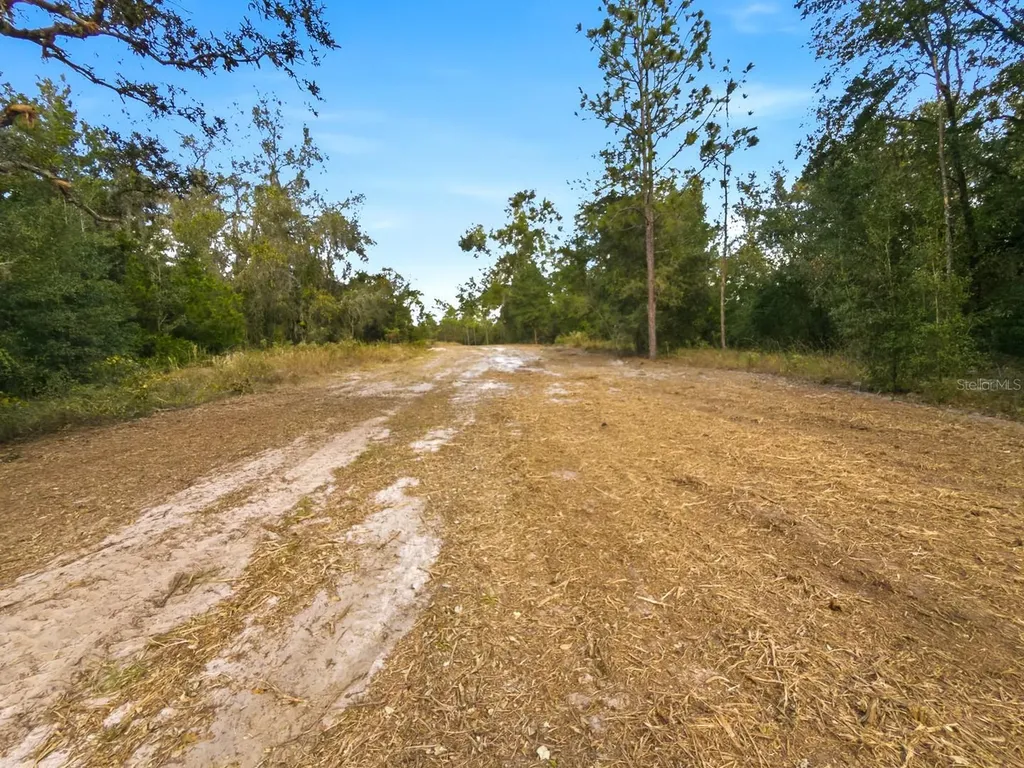 34095 Hyatt Road Dade City FL 33523
