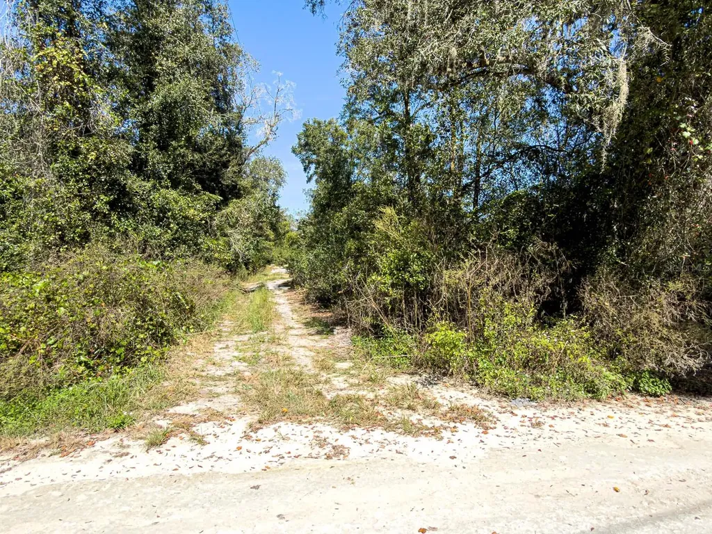 34095 Hyatt Road Dade City FL 33523