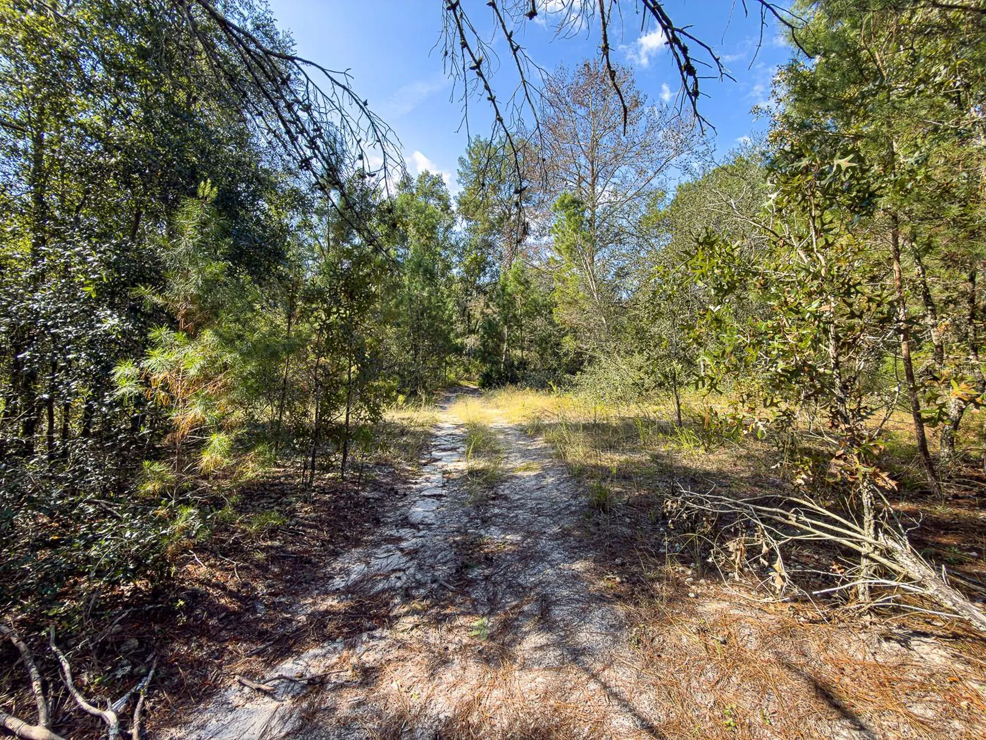 34095 Hyatt Road Dade City FL 33523