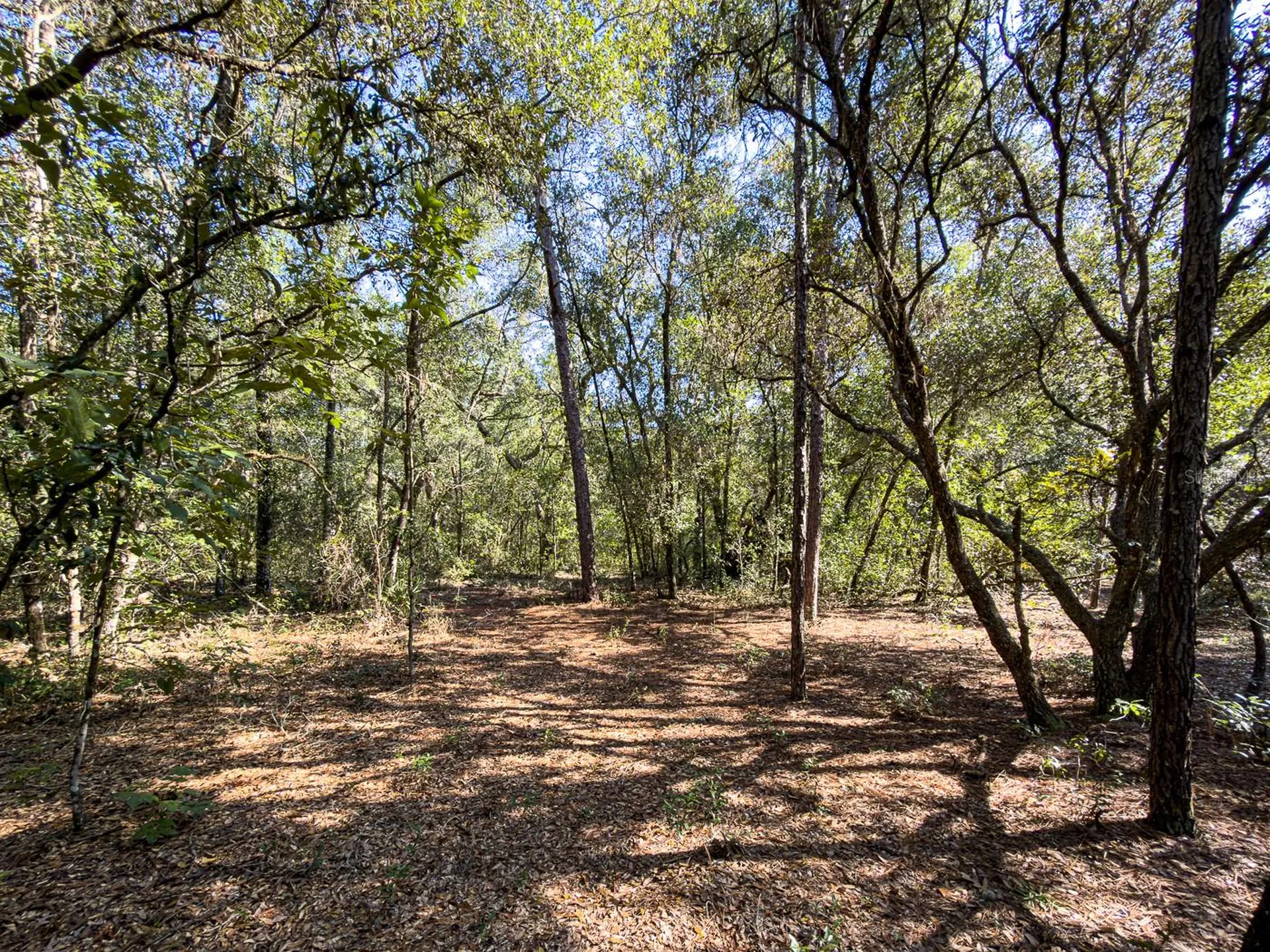 34095 Hyatt Road Dade City FL 33523