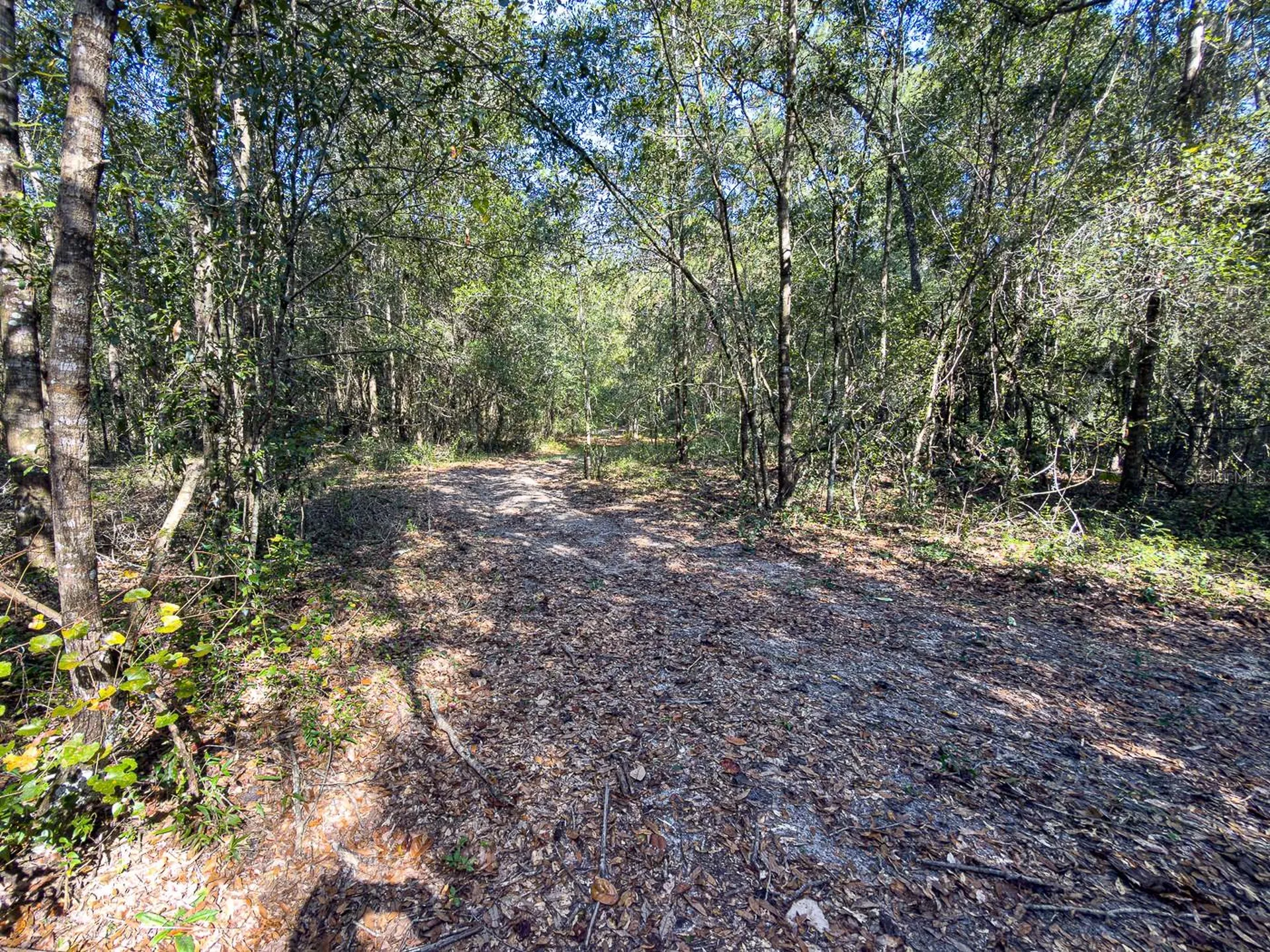 34095 Hyatt Road Dade City FL 33523