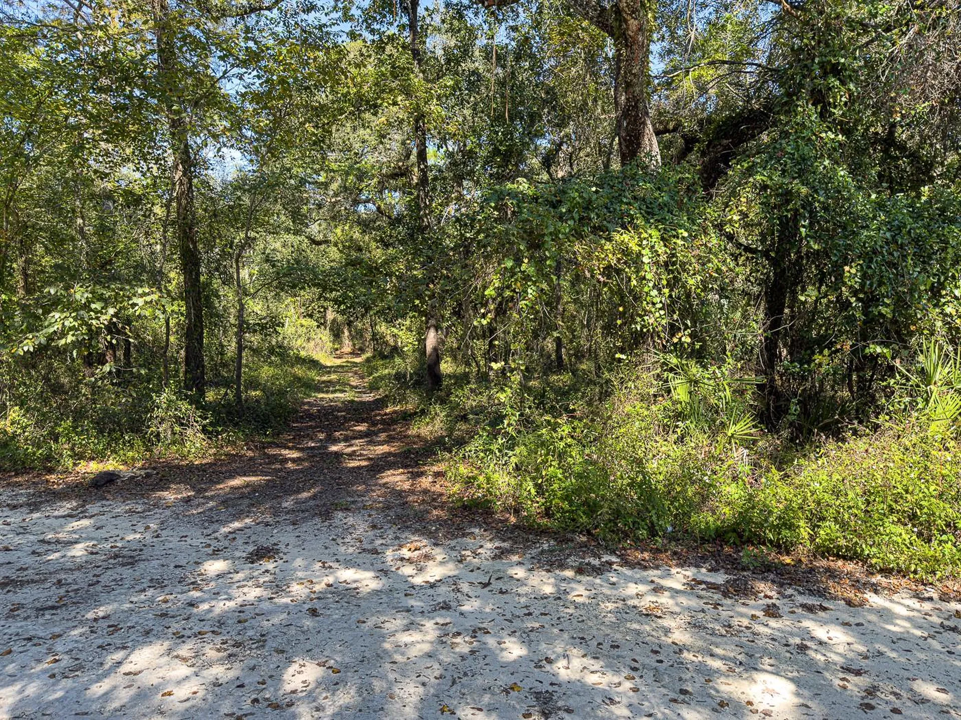 34095 Hyatt Road Dade City FL 33523