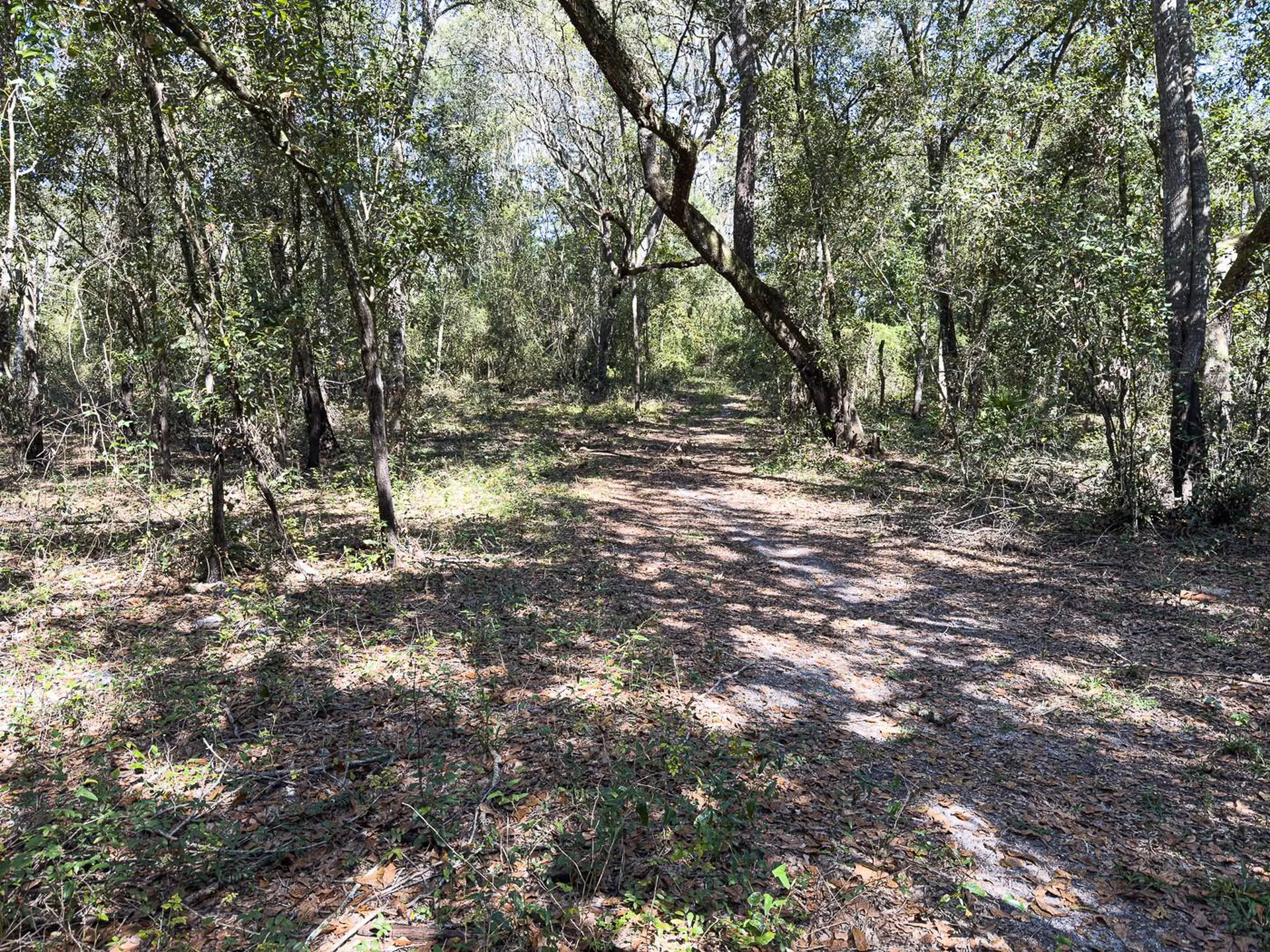 34095 Hyatt Road Dade City FL 33523