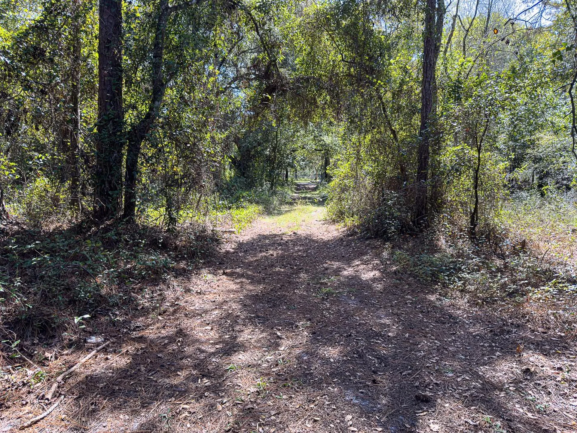 34095 Hyatt Road Dade City FL 33523