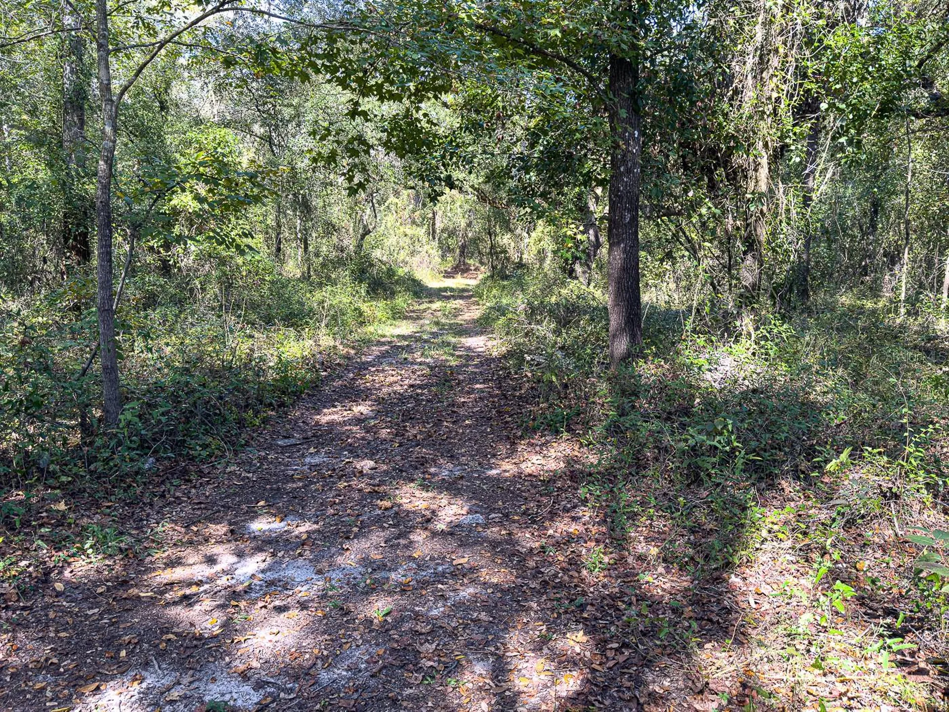 34095 Hyatt Road Dade City FL 33523