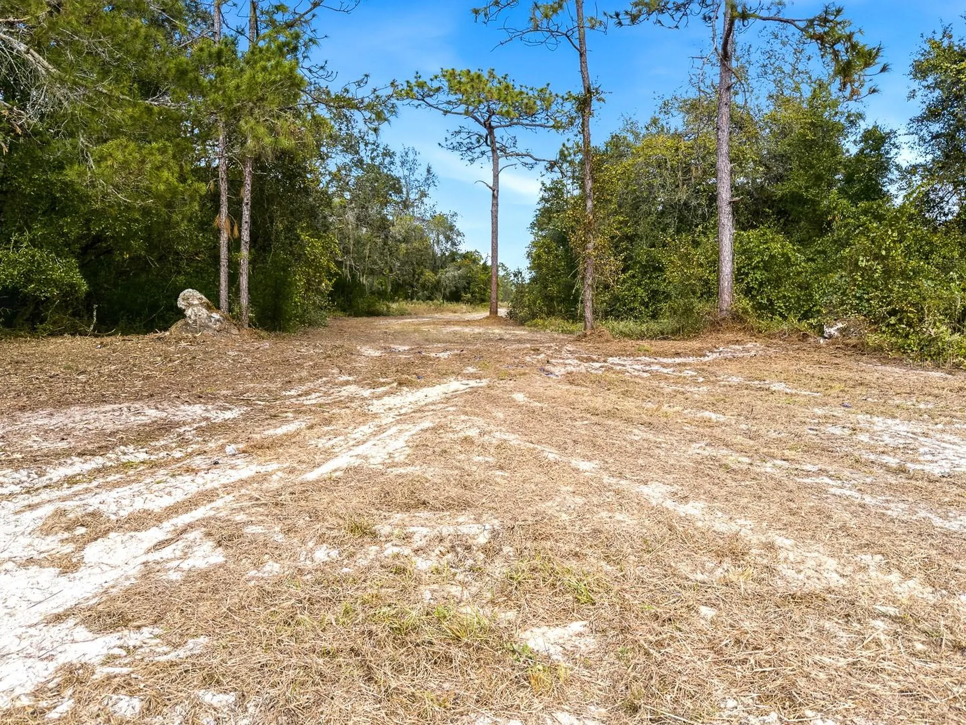 34095 Hyatt Road Dade City FL 33523