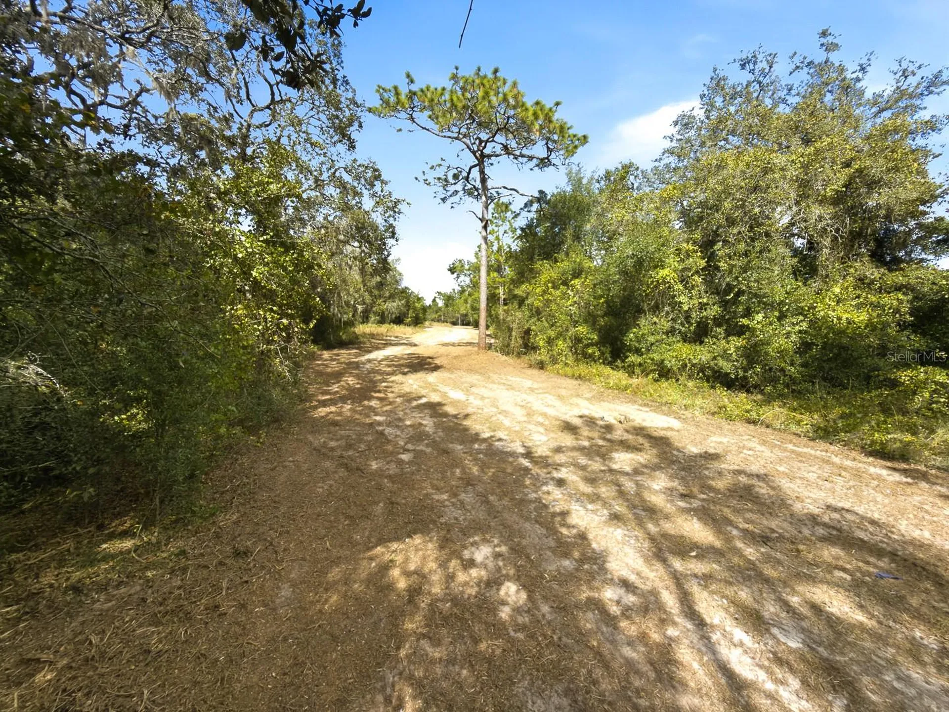 34095 Hyatt Road Dade City FL 33523