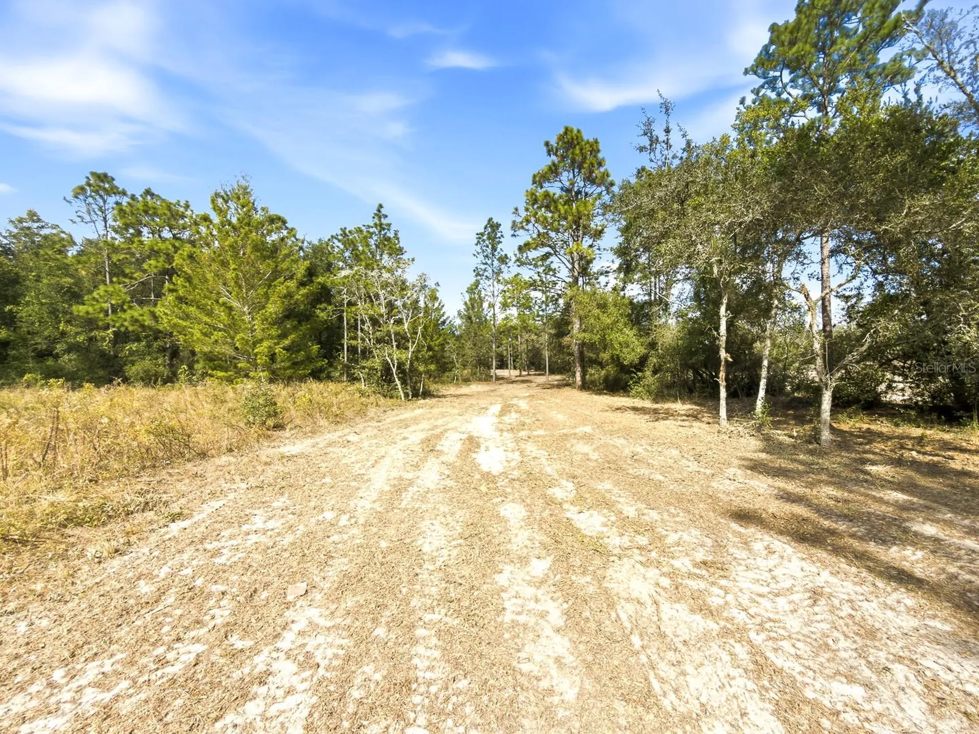 34095 Hyatt Road Dade City FL 33523