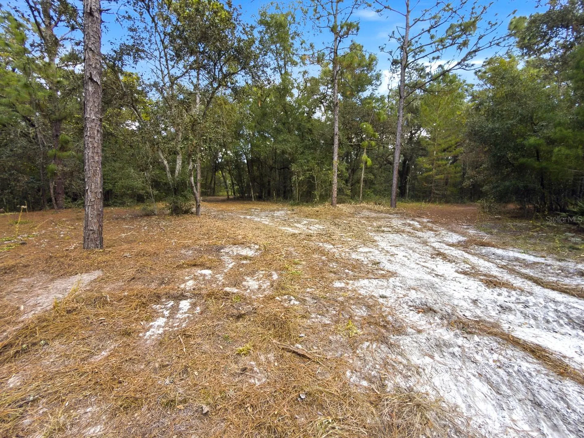 34095 Hyatt Road Dade City FL 33523