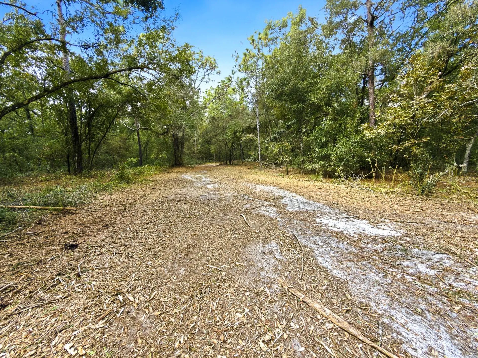 34095 Hyatt Road Dade City FL 33523