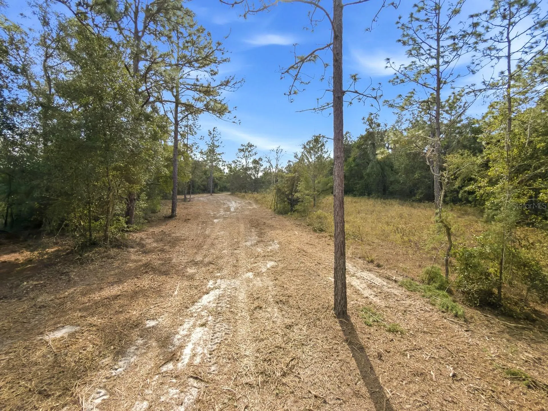 34095 Hyatt Road Dade City FL 33523
