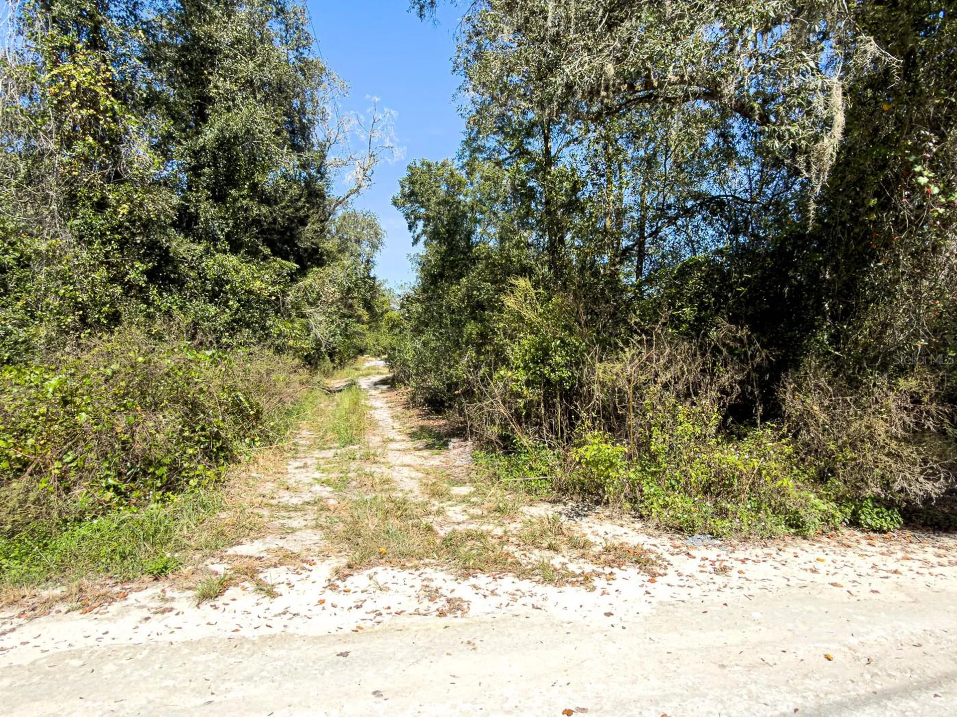 34095 Hyatt Road Dade City FL 33523