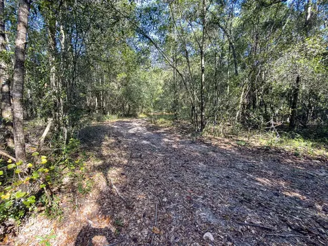 34095 Hyatt Road Dade City FL 33523