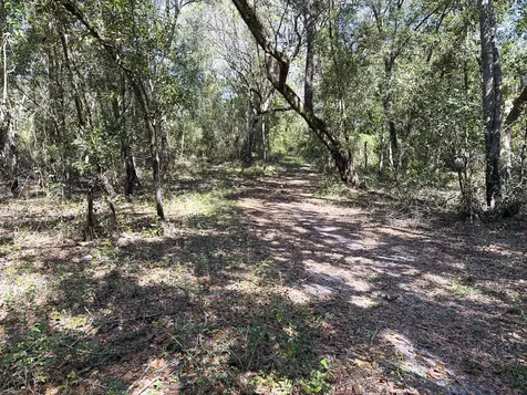 34095 Hyatt Road Dade City FL 33523