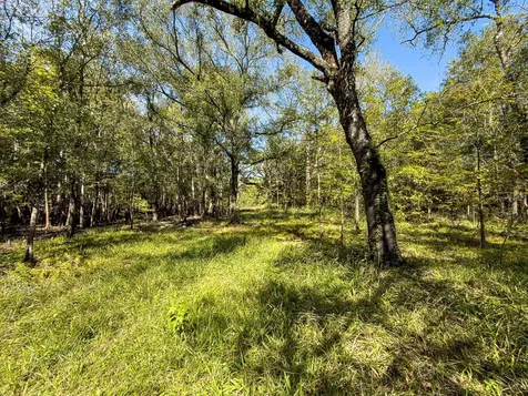 34095 Hyatt Road Dade City FL 33523