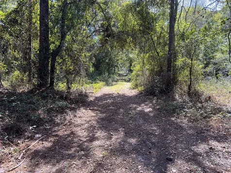 34095 Hyatt Road Dade City FL 33523